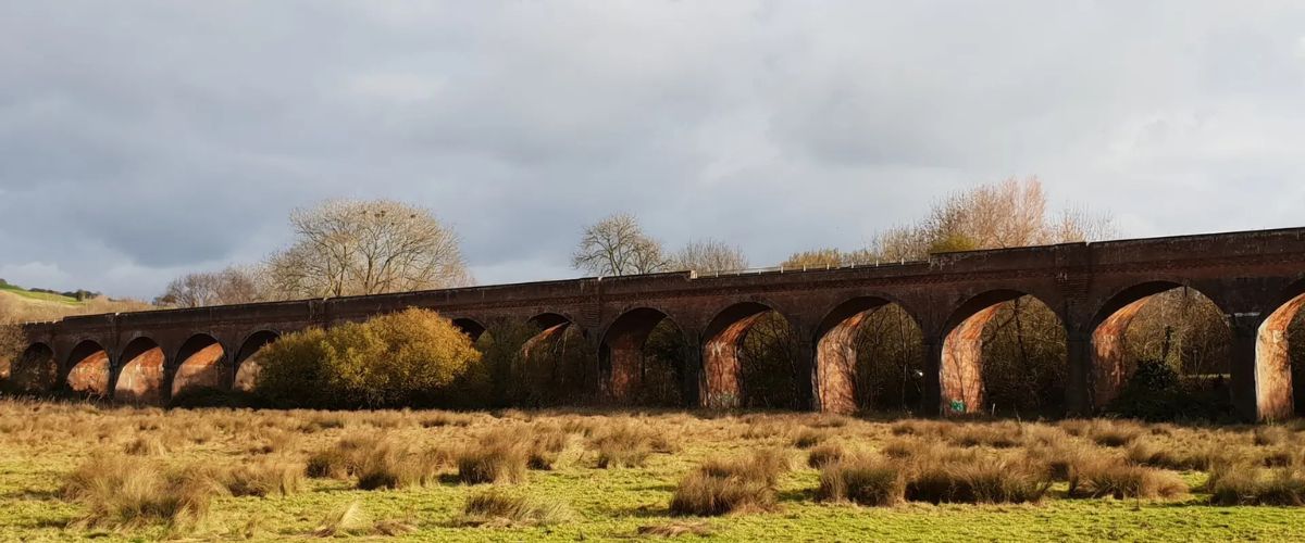 Fair Oak & Boyatt Wood
